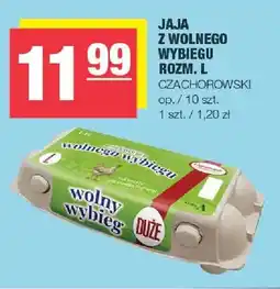 Spar Jaja z wolnego wybiegu rozm. L Czachorowski oferta