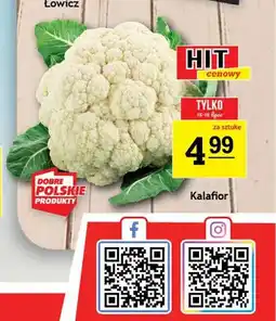 Gram Market Kalafior oferta