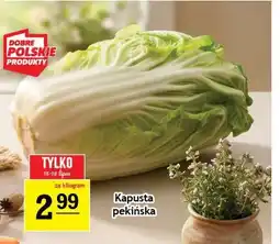 Gram Market Kapusta pekińska polska oferta