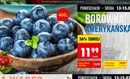 Biedronka Borówka amerykańska oferta
