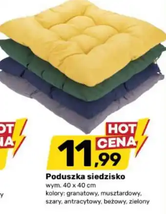 Bricomarche Poduszka siedzisko oferta