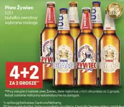 Delikatesy Centrum Piwo Żywiciel oferta