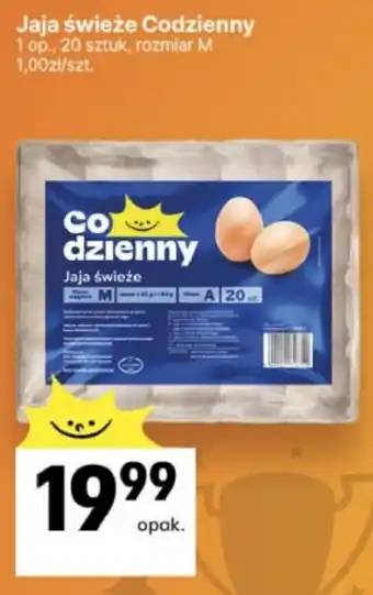 Delikatesy Centrum Jaja świeże Codzienny oferta