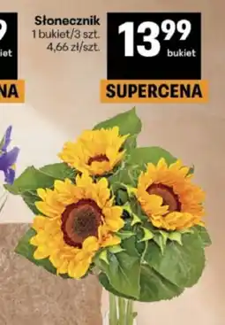 Delikatesy Centrum Słonecznik oferta