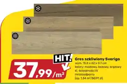 Bricomarche Gres szkliwiony Sverigo oferta