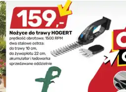 Bricomarche Nożyce do trawy HOGERT oferta