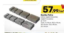 Bricomarche Kostka Tetra oferta