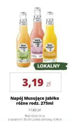 Torimpex Napój Musujące Jabłko oferta