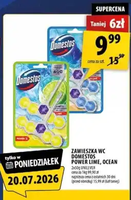 Arhelan Zawieszka WC Domestos Power Lime, Ocean oferta