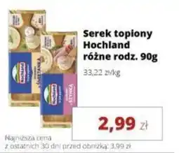 Torimpex Serek topiony Hochland oferta