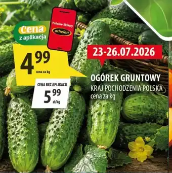 Arhelan OGÓREK GRUNTOWY oferta