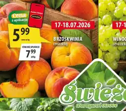 Arhelan BRZOSKWINIA oferta