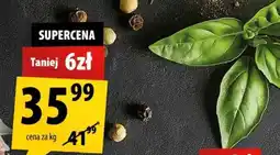 Arhelan Basilik oferta