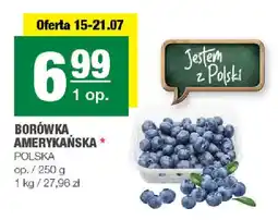 EuroSPAR BORÓWKA AMERYKAŃSKA oferta