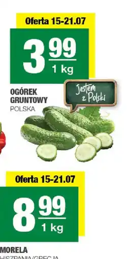 EuroSPAR Ogórek Gruntowy oferta