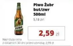 Torimpex Piwo Żubr oferta