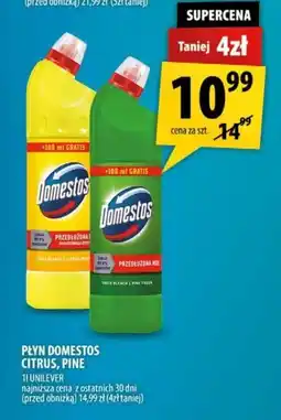 Arhelan PŁYN DOMESTOS CITRUS, PINE oferta