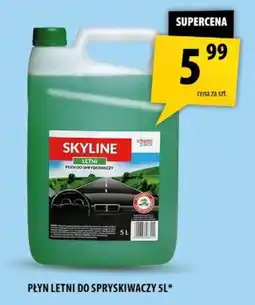 Arhelan Płyn Letni do Spryskiwaczy Skyline oferta