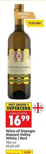 Biedronka Wine of Georgia Alazani Valley White / Red oferta