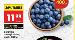 Biedronka Borówka amerykańska, opak. 400 g oferta