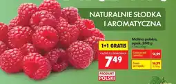 Biedronka Malina polska, opak. 200 g oferta