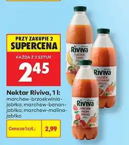 Biedronka Nektar Riviva, 1 l oferta