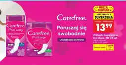 Biedronka CAREFREE oferta