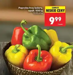 Biedronka Papryka trzy kolory opak . 500 g oferta