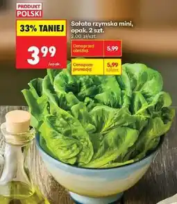 Biedronka sałata rzymska mini , opak . 2 szt oferta