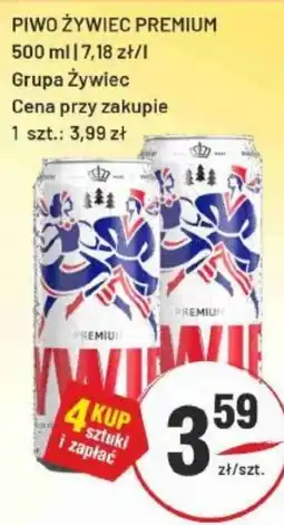 Sedal Piwo Żywiec Premium oferta