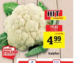 Gram Market Kalafior Hit oferta