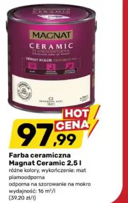 Bricomarche Magnat oferta