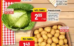 Polomarket Kapusta młoda oferta