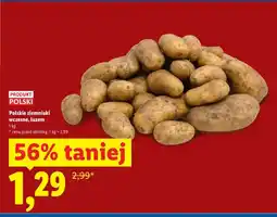 Lidl Ziemniaki wczesne polskie luzem oferta
