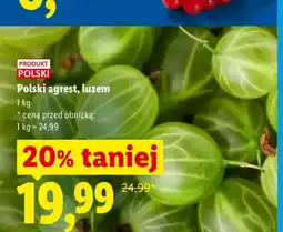 Lidl Agrest luzem polski oferta