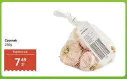 Dino Czosnek oferta