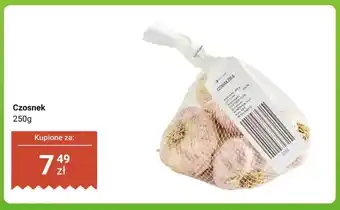 Dino Czosnek oferta