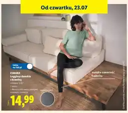 Lidl Legginsy damskie z bawełną Esmara oferta