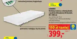 Lidl Strefowy materac z zimnej pianki z paskiem klimaband Livarno H2 oferta