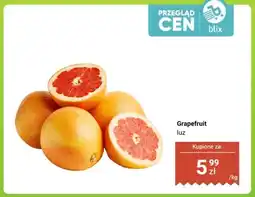Dino Grapefruit luz oferta