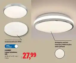 Lidl Lampa łazienkowa LED Livarno oferta