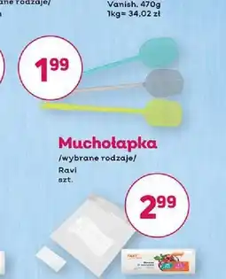 Bliski Muchołapka Ravi oferta