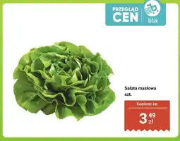 Dino Sałata masłowa oferta