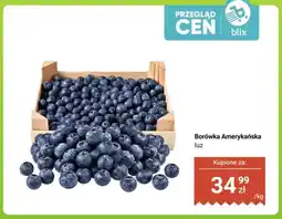 Dino Borówka amerykańska luz oferta