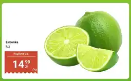 Dino Limonka luz oferta