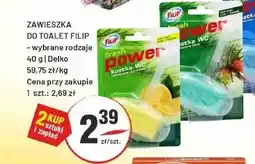 Sedal Zawieszka do toalet Filip Fresh Power leśna oferta