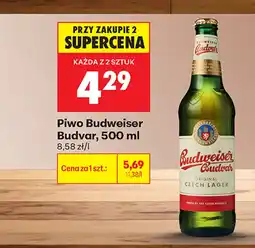 Biedronka Piwo Budweiser oferta