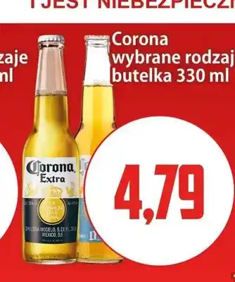 Kupiec Piwo Corona Extra oferta