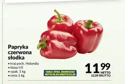 Makro Papryka czerwona słodka oferta