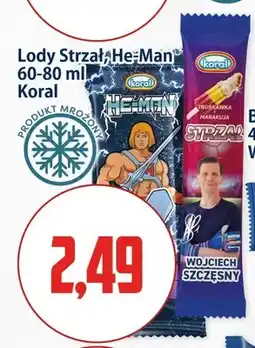 Kupiec Lody Koral Strzał oferta